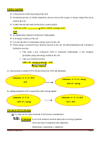 cellular respirTion grade 9.pdf